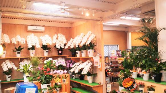 「はなよし生花店」　（大分県日田市）の花屋店舗写真2